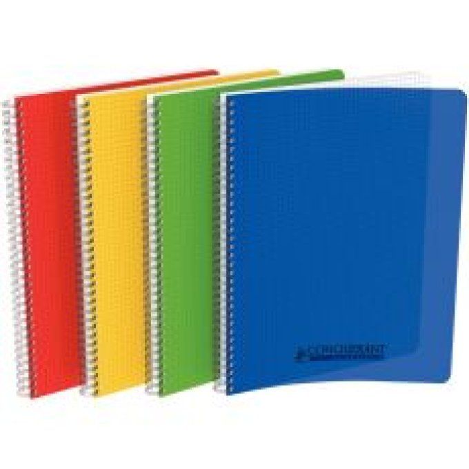 Conquérant. Cahier à reliure intégrale couverture polypropylène, 100 pages format A4 5x5