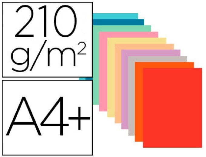 EXACOMPTA Chemise  rock carte rigide 240x320mm 210g 1 rabat coloris assortis lot 50 unités.