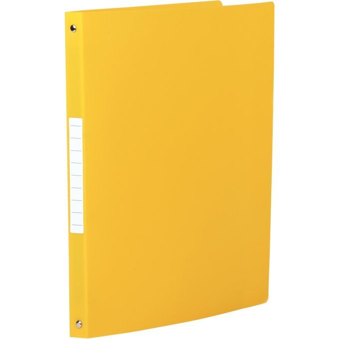 Classeur 4 anneaux en polypropylène opaque, format A4, dos 2,5 cm