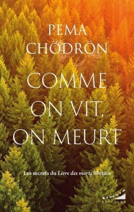 Comme on vit, on meurt. Les secrets du Livre des morts tibétain