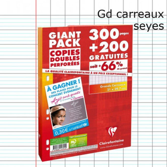 500P Copies doubles CLAIREFONTAINE A4 Séyès perforées