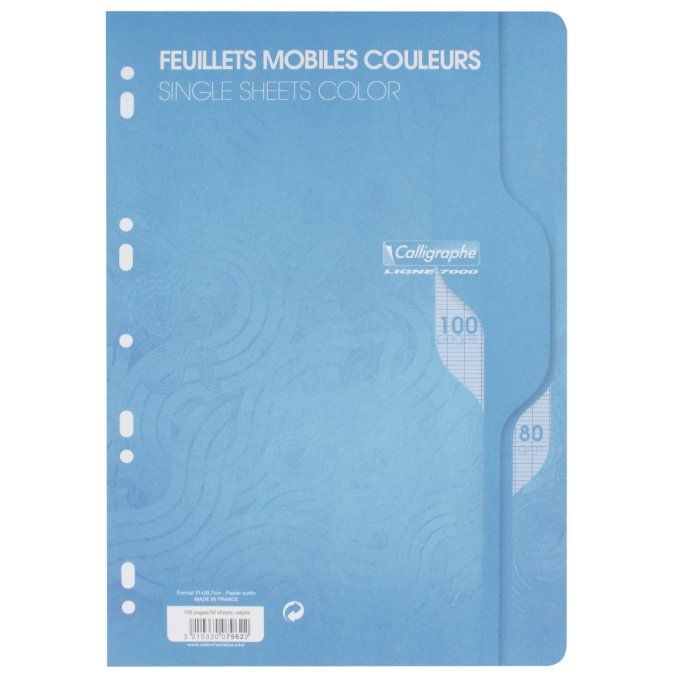 100 Pages Feuillets mobiles CALLIGRAPHE A4 couleur seyes