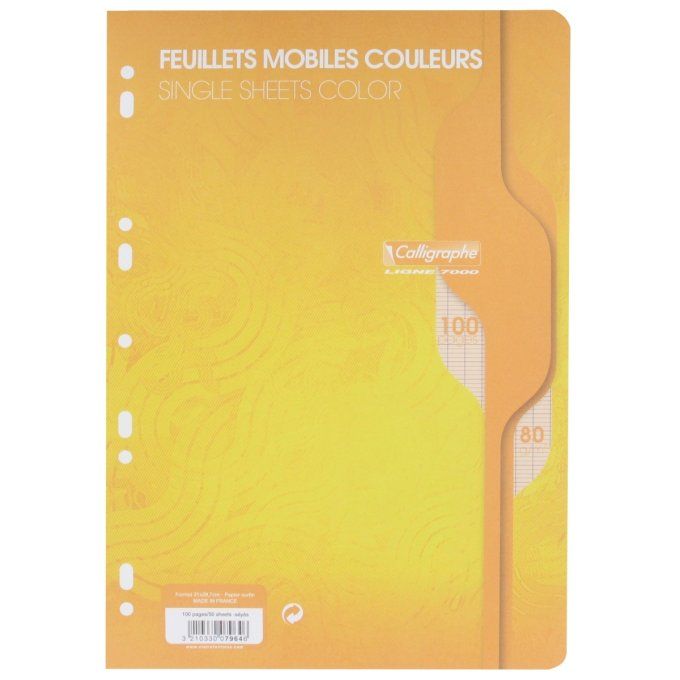 100 Pages Feuillets mobiles CALLIGRAPHE A4 couleur seyes