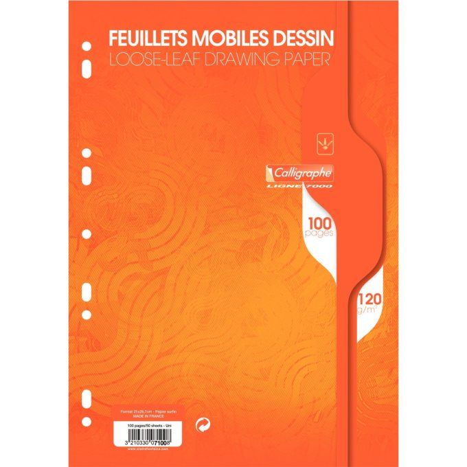 100 Pages Feuillets mobiles CALLIGRAPHE A4 couleur seyes