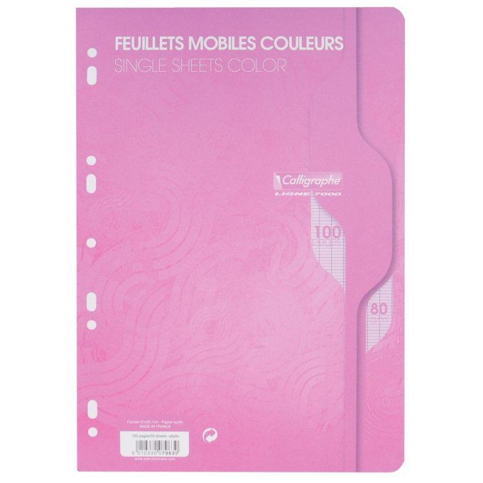 100 Pages Feuillets mobiles CALLIGRAPHE A4 couleur seyes