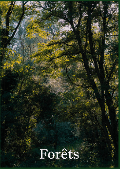 Livre-journal 7  FORETS, La relève et la  peste