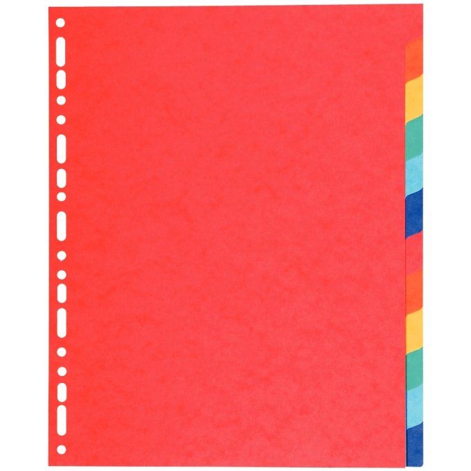 EXACOMPTA Jeu de 12 intercalaires à touches neutres en carte recyclée 220g format A4+