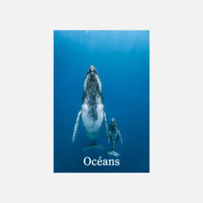 La relève et la peste: Océans