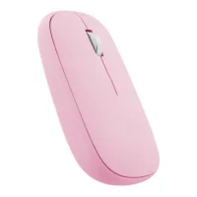 Souris colorée DUAL CONNECT